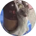 Rat Mask