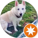 ZiggyBFishing CustomRods