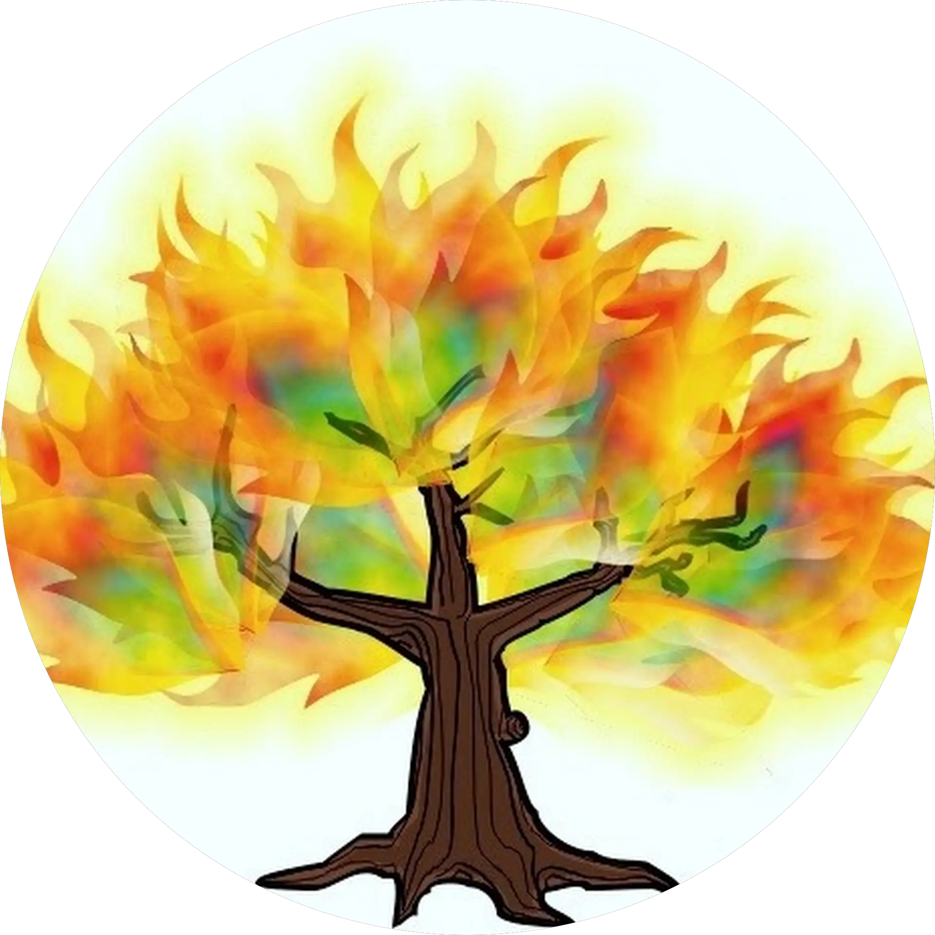 FlameTreeGlass