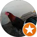 Jose Medinas Gamefowl page