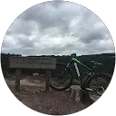 Mark Bradley