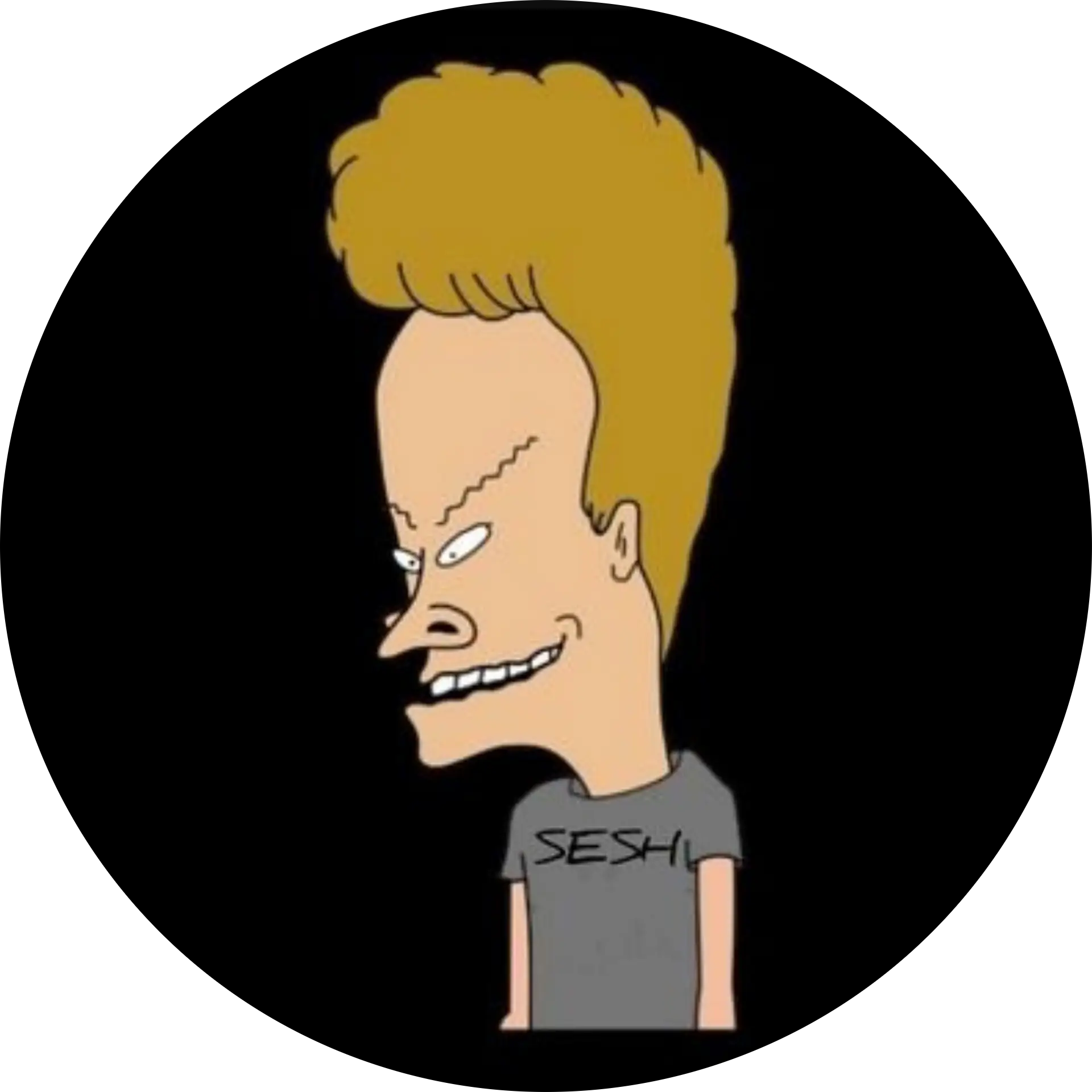 Señor Beavis