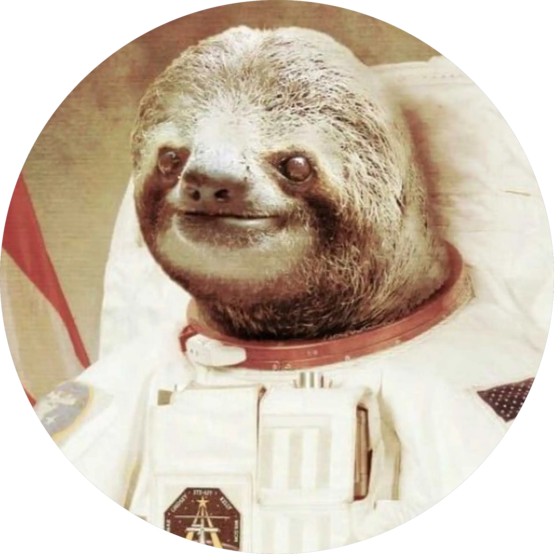 AstroSloth01