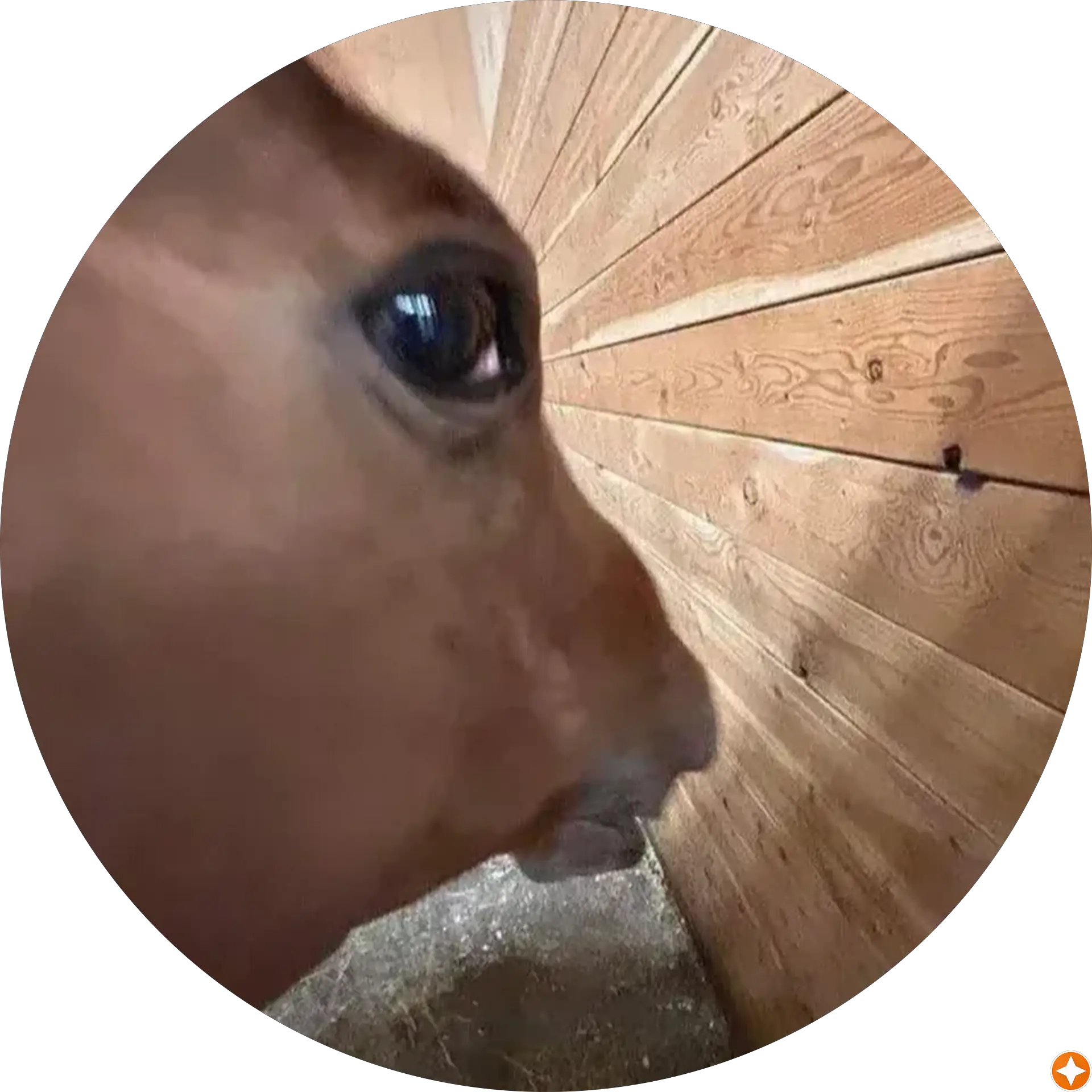 Oh It's Just Nick