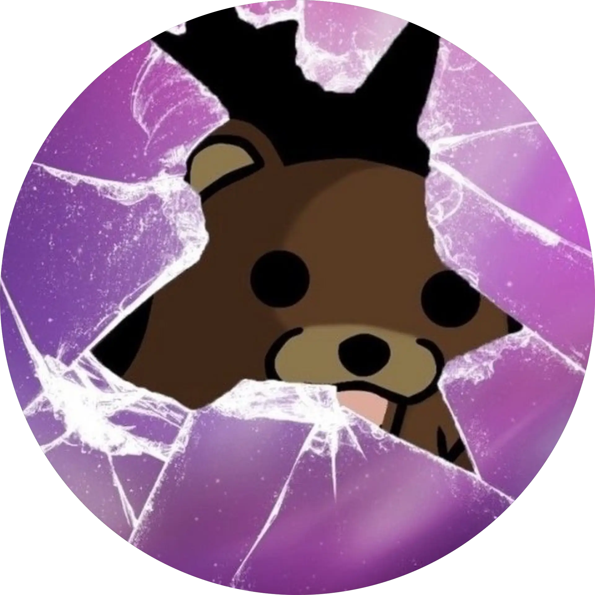 Bear The Facts