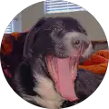 Jose Gonzalez