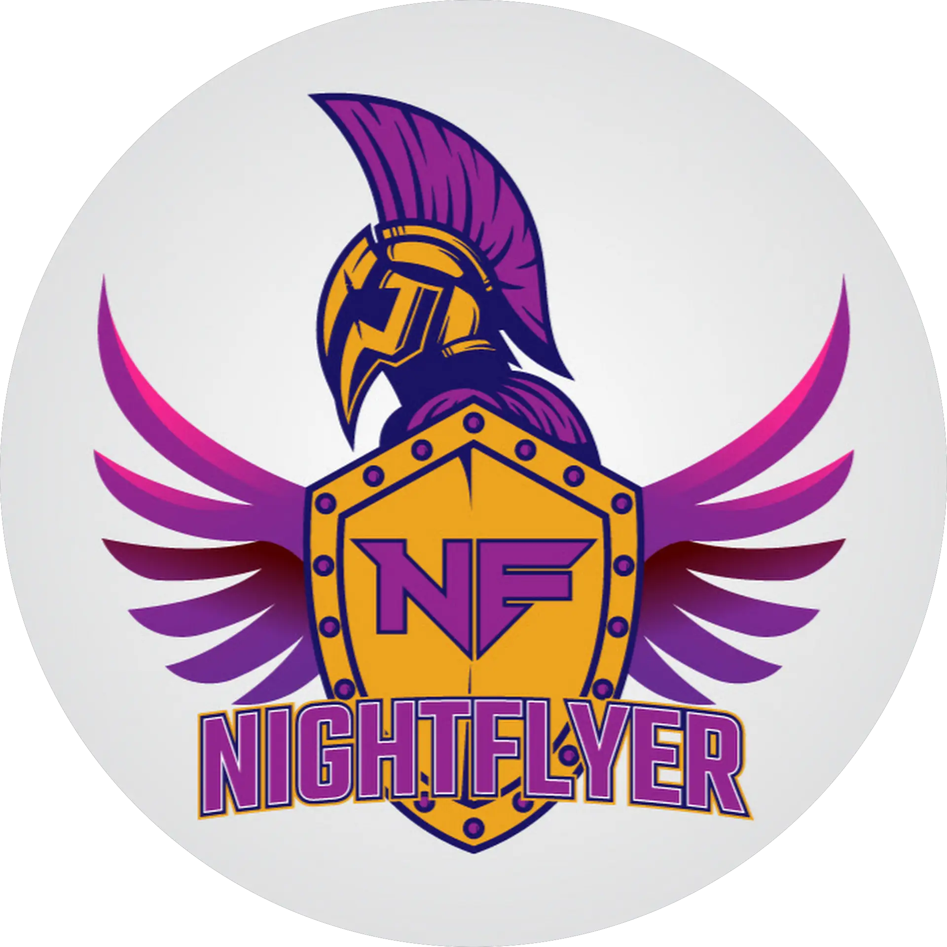 Night Flyer