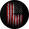 Steve K