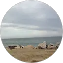 Chris M