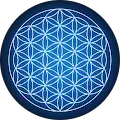 m v