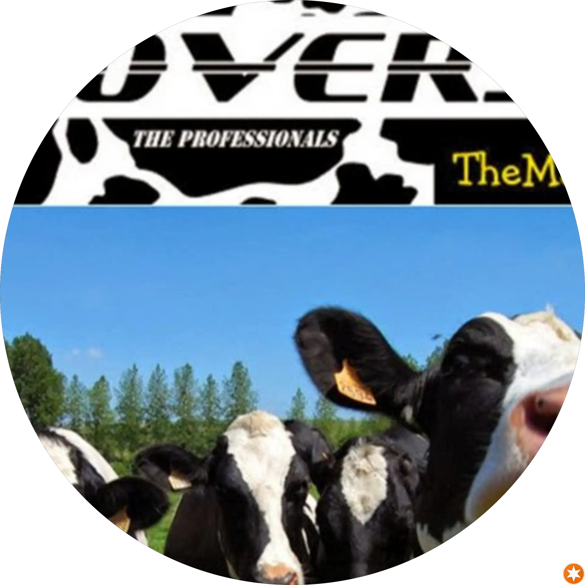 The Moovers Inc