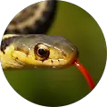 J T