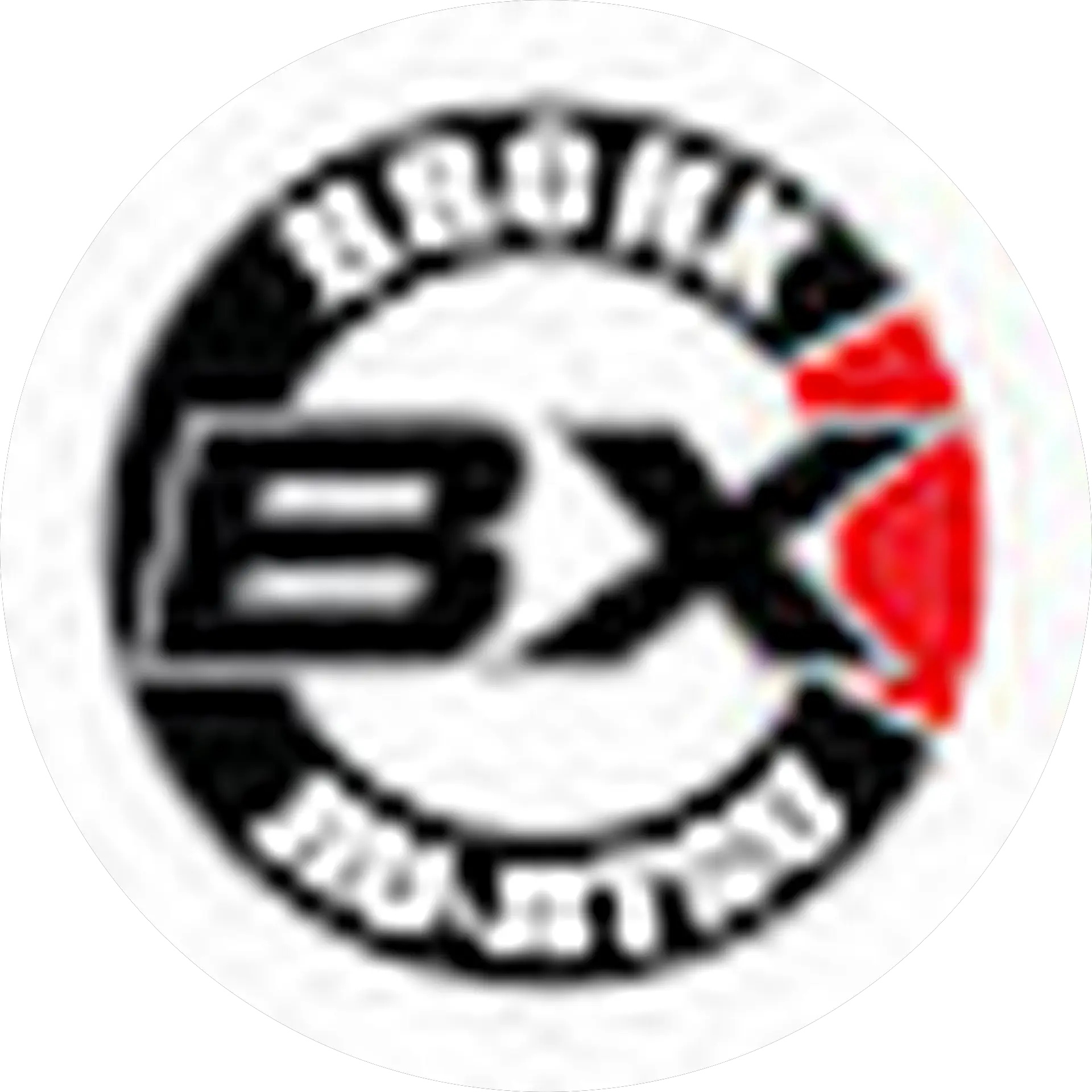 Bronx Jiu-Jitsu