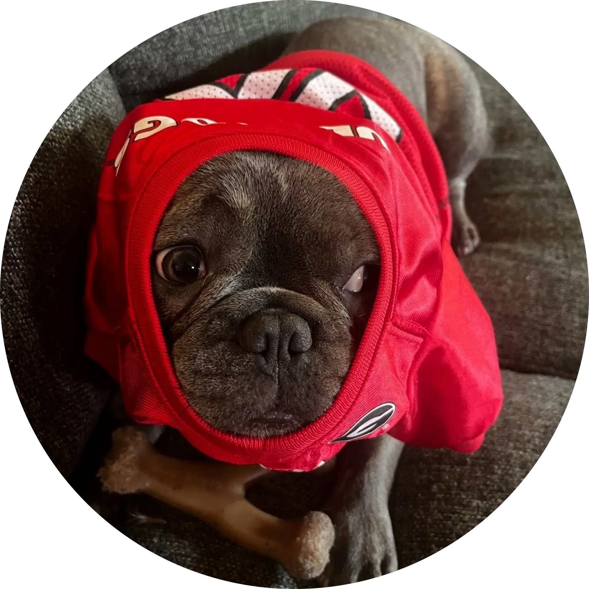 Calvin reed