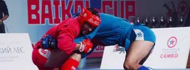 2025 Great Lakes Open Sambo Championship
