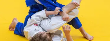 Haninge BJJ Open #40