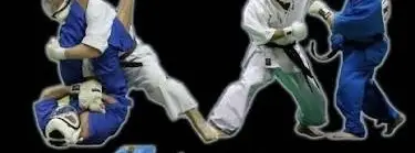 Kudo Seminar with James Alexander - USA Kudo President