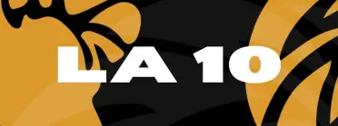 LA 10 - ADULTOS GI Y NOGI