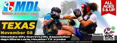 MDL HOUSTON TX NOV 8TH