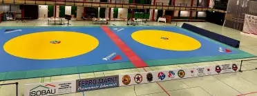 VI. Hamburg Sambo Open 2026