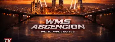 WMS - WORLD MMA SERIES